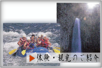 体験・観光のご紹介