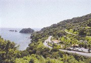 津の峯