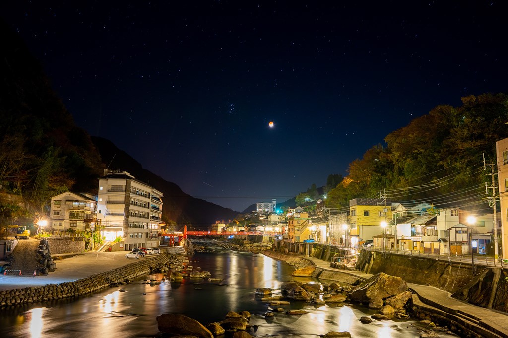 大原大しだれ桜